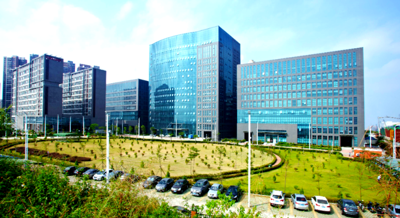乌鲁木齐地王国际贸易有限公司服装鞋帽批发品类结构与选品策略