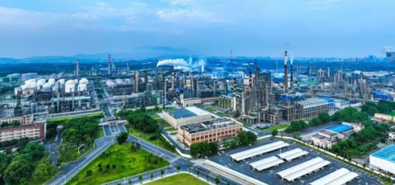 乌鲁木齐地王国际贸易有限公司2025年服装鞋帽批发市场趋势分析