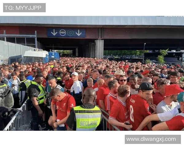 球迷假票事件调查